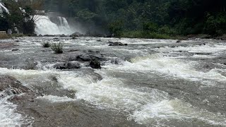 Chunayanmakkal Waterfalls Munnar, Pothupara, Ellackal, Kerala 685565