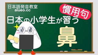 【日文慣用句】【鼻】日本小學生必學的日常用語解說及例句朗讀練習（日文自學教程）JLPT