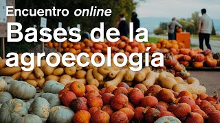 Bases agroecológicas, Masterclass con Miguel A. Altieri