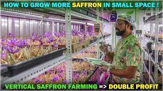 Maximize Your Profits: Vertical Saffron Farming Guide in 8x40 Space - How to Earn up to 5 Lakh!