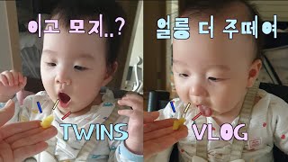 [둥이VLOG] 태어나서 처음 고구마 먹는 8개월 남매둥이 반응