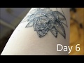 Tattoo Healing Process | day by day