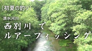 〔初夏の釣り〕湧水河川 西別川でルアーフィッシング