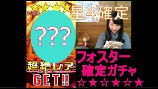 【白猫プロジェクト】フォスタークリスマス星４確定ガチャに挑戦☆【藤村あさみ】