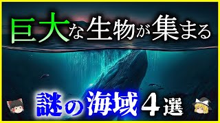 【ゆっくり解説】陸を歩く新種のサメも⁉巨大な生物が集まる「謎の海域」4選を解説