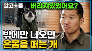 생후 1달 만에 쓰레기 더미의 한 상자에 버려졌던 강아지. 노견들 사이에서 커가는 철부지 강아지에 강형욱의 조언┃세상에 나쁜 개는 없다┃알고e즘