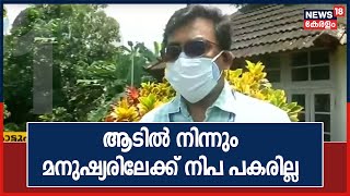 Nipah | ആടിൽ നിന്നും മനുഷ്യരിലേക്ക് നിപ പകരില്ലെന്ന് മൃ​ഗസംരക്ഷണ വകുപ്പ് ഡെപ്യുട്ടി ഡയറക്ടർ KK Baby