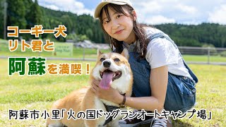 コーギー犬リト君と阿蘇を満喫！火の国ドッグランオートキャンプ場編