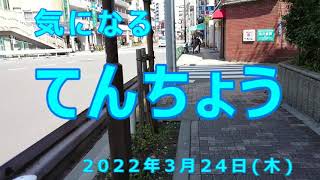 気になるてんちょう・2022年3月24日・木