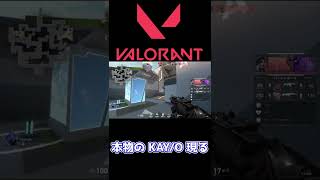 【VALORANT】本物のKAY/O現る【KAY/O】　＃Shorts