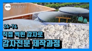 봉춘팜 감자농사 | 감자전분가루 제작과정! 감자 직접 썩혀서 곱디고운 하얀전분가루 나오기까지 전과정!