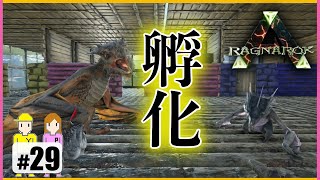 #29【ARKラグナロク】ワイバーンの卵を孵化する回!　PS4