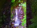 discover georgia s treasures enchanting waterfall in kintrishi georgia