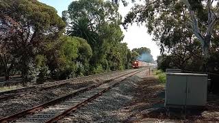 1281s empty one Rail Australia grain from dry creek north to tailem bend