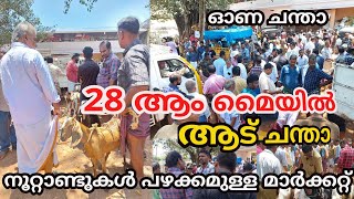 28 ആം മൈയിൽ ആട് ചന്താ | കുറഞ്ഞ വിലയിൽ ആടുകളെ വാങ്ങാം |goat market in kerala