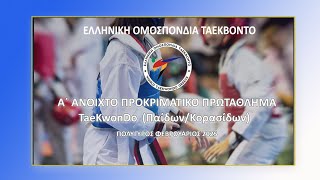 Α΄ ΑΝΟΙΧΤΟ ΠΡΟΚΡΙΜΑΤΙΚΟ ΠΡΩΤΑΘΛΗΜΑ Π/Κ - (Court 2)