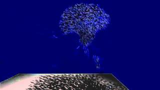 Flock Simulation on GPU
