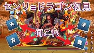 【パズドラ】火曜の闘技場にセンリ=ドラゴンが来たので初見で挑む！