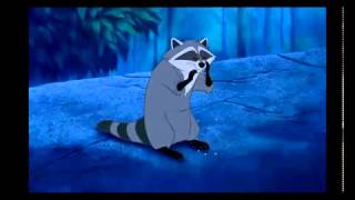 енот из покахонтас, raccoon Meeko Pocahontas