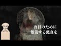 【狸・たぬき】神様になった狸・平成狸合戦ぽんぽこにも登場〜鳥山石燕＋妖怪解説〜【画図百鬼夜行 11】