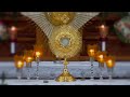 Perpetual Adoration Live | Eucharistic Adoration Live (24/7)