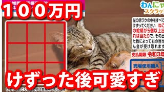 ねこ・ミックス＆子ブタ わんにゃんスクラッチ ハッピーカウント @128 #わんにゃんスクラッチ #スクラッチ