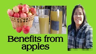 WHAT ARE THE BENEFITS FROM APPLES 🍎 /