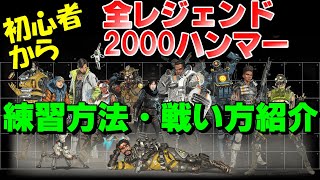 【Apex】初心者から全キャラハンマーへ！2000ダメを出す練習方法と戦い方を紹介！【全キャラハンマー企画・最終回】