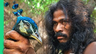 Sri Lankan Tribe Hunts Peacock!! 24 Hours With the Vedda!!