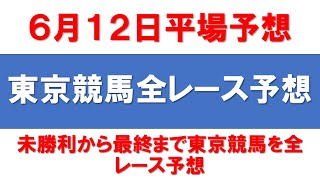 6月12日東京競馬平場全レース予想