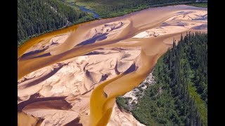 The Sand Dunes Of Athabasca, Canada