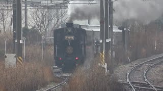 鳥栖駅 留置線に停車中のSL人吉 #鉄道 #蒸気機関車