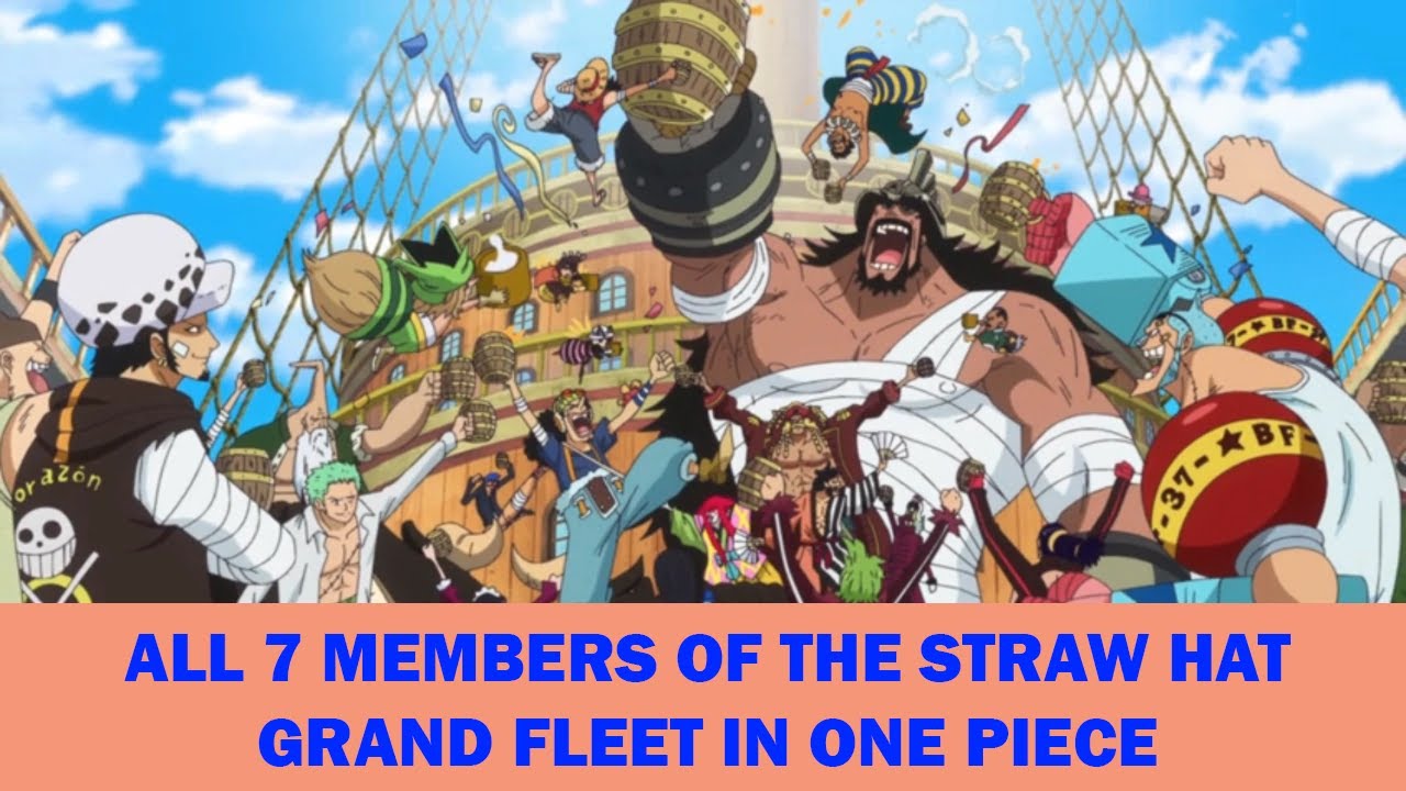 All 7 Members Of The Straw Hat Grand Fleet In One Piece | One Piece My ...