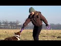 a day in the yard with my energetic border collie 🐾