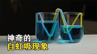 不可思议的“自虹吸”，水竟然往高处流，你知道原理吗？