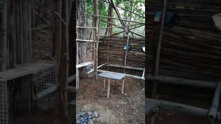 サバイバル小屋の建設途上の様子。今後ますます快適に仕上げます。survival＆bushcraft＆camping