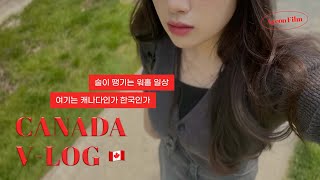 [V-log] 🇨🇦 여기는 한국인가 캐나다인가 | AGO, 토론토 한국식당 | 지금,오늘