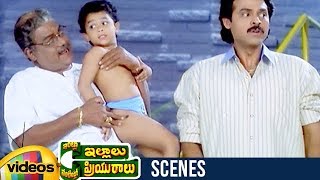 Kota Srinivasa Rao Corners Venkatesh | Intlo Illalu Vantintlo Priyuralu Telugu Movie | Soundarya