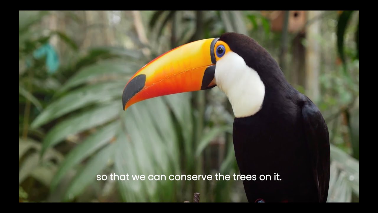 Climate Summit Gpiuk