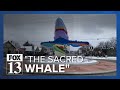 Salt Lake City 9th and 9th whale sculpture's cultish following grows with each winter storm