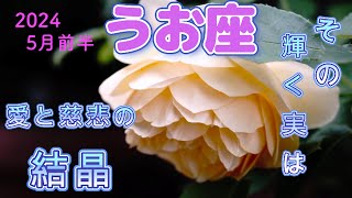 【うお座の５月前半】金運💰仕事運👨‍✈️恋愛運💕ビブリオマンシー📖ラッキーナンバー🍀サックリ占うよ🌟