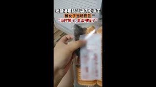 老鼠钻袋子吃饼干被女子当场捏住熊女士发视频，一只老鼠凌晨钻进包装袋偷吃饼干被她当场捏住。熊女士表示，她本来想吓跑的，当时还有点懵。