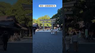 🇯🇵東京 熱鬧澀谷的名景點明治神宮Tokyo Shibuya Meiji Jingu #東京 #澀谷 #旅遊景點 #明治神宮 #tokyo #shibuya #traveldestinations