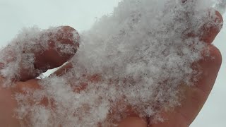 the fluffy snow