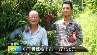 【2014.07.08】小丁香荔枝上市 一斤130元 -udn tv