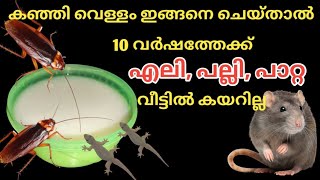 എലി, പല്ലി, പാറ്റ 10 വർഷത്തേക്ക് വീട്ടിൽ കയറില്ല.. കഞ്ഞിവെള്ളം ഇങ്ങനെ ചെയ്‌താൽ മതി.. #tipsntricks