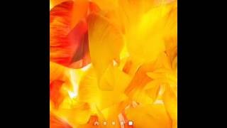 Como baixar fs 5.0 vivo.