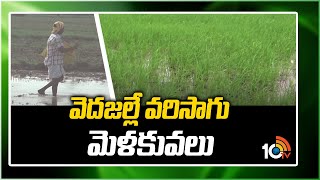 వెదజల్లే వరిసాగు మెళకువలు | Paddy Cultivation | Matti Manishi | 10TV