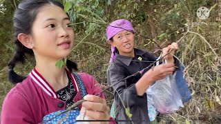 น้องคำฟองกับคุณแม่พาเข้าป่าไปหาดอกคามค่ะ