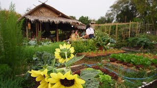 ใช้ชีวิตที่สวนผักในเมืองEp.49จากหนาวสู่แล้ง เตรียมแปลงปลูกผัก Living in our urban garden in Bangkok.